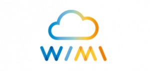 logo WIMI France Italia